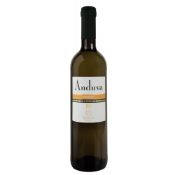Vino Blanco Albariño Botella 3/4 L 12,5% Vol.