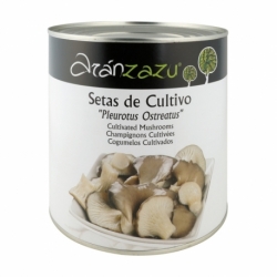 Setas de Cultivo I Lata 3 kg