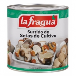 Surtido de Setas de Cultivo I Lata 3 kg