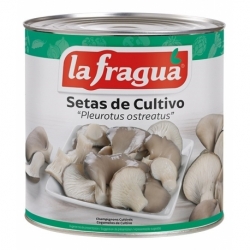 Surtido de Setas de Cultivo I Lata 3 kg