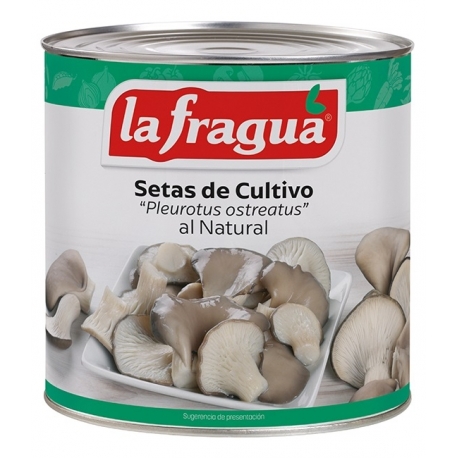 Setas de Cultivo I Lata 3 kg