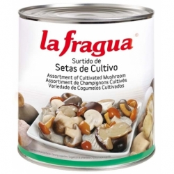 Rovellón-Níscalo Entero Extra Lata 1/2 kg