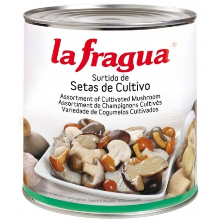 Rovellón-Níscalo en Trozos I Lata 3 kg