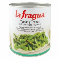 Yemas y Tallos de Espárragos Verdes I Lata 3 kg