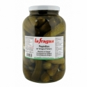Pepinillos en Vinagre 30/40 I Tarro Galón