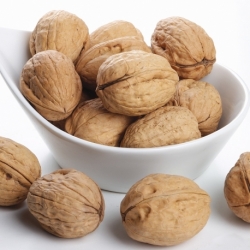 Nueces Franquette 28-30 Saco 10 kg