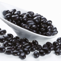 Alubia Negra Extra Saco 10 kg